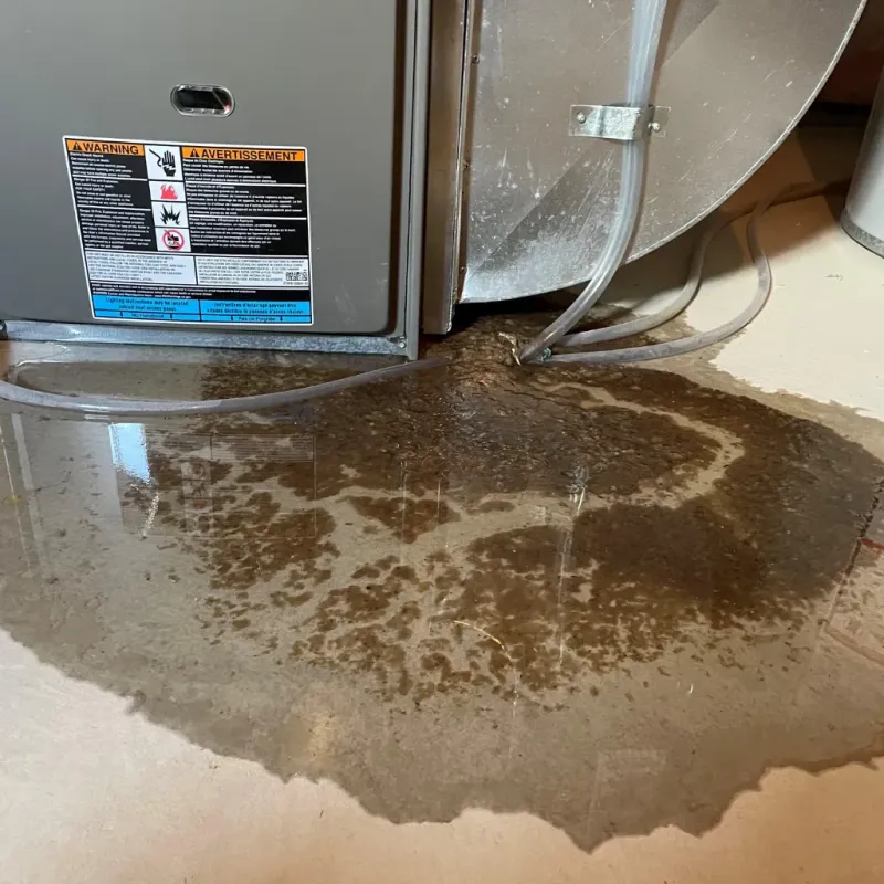 Appliance Leak Cleanup in Pleasanton, KS